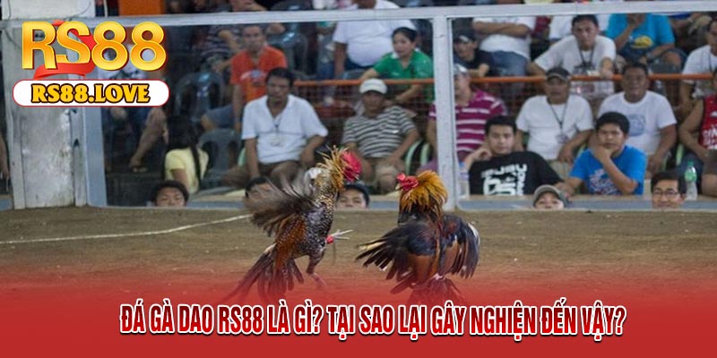 Đá Gà Dao RS88 Là Gì? Tại Sao Lại Gây Nghiện Đến Vậy?