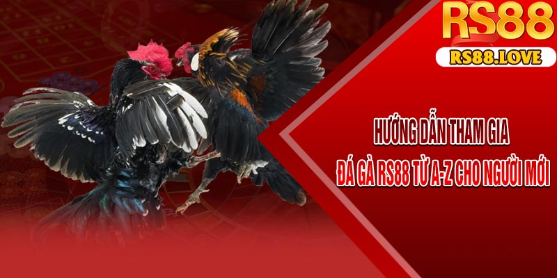 Hướng Dẫn Tham Gia Đá Gà RS88 Từ A-Z Cho Người Mới
