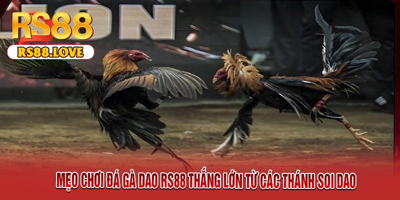 Mẹo Chơi Đá Gà Dao RS88 Thắng Lớn Từ Các Thánh Soi Dao